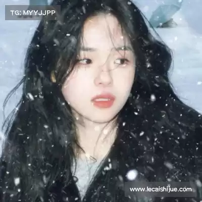 窦耿禹