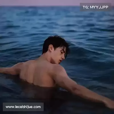 韦芝