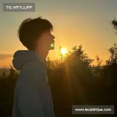 诸璇鸿